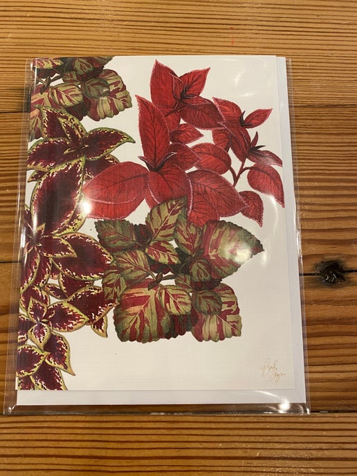 Coleus Notecard