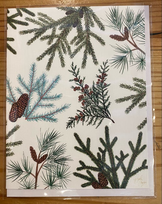 Cypress-Pine-Fir-Spruce Notecard