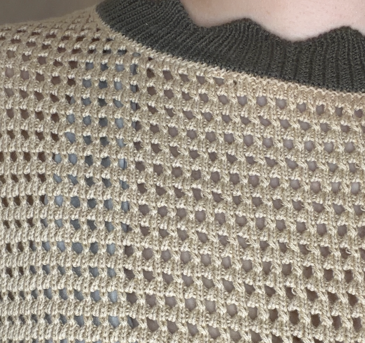 Scallop Mesh Long Sleeve Knit Sweater
