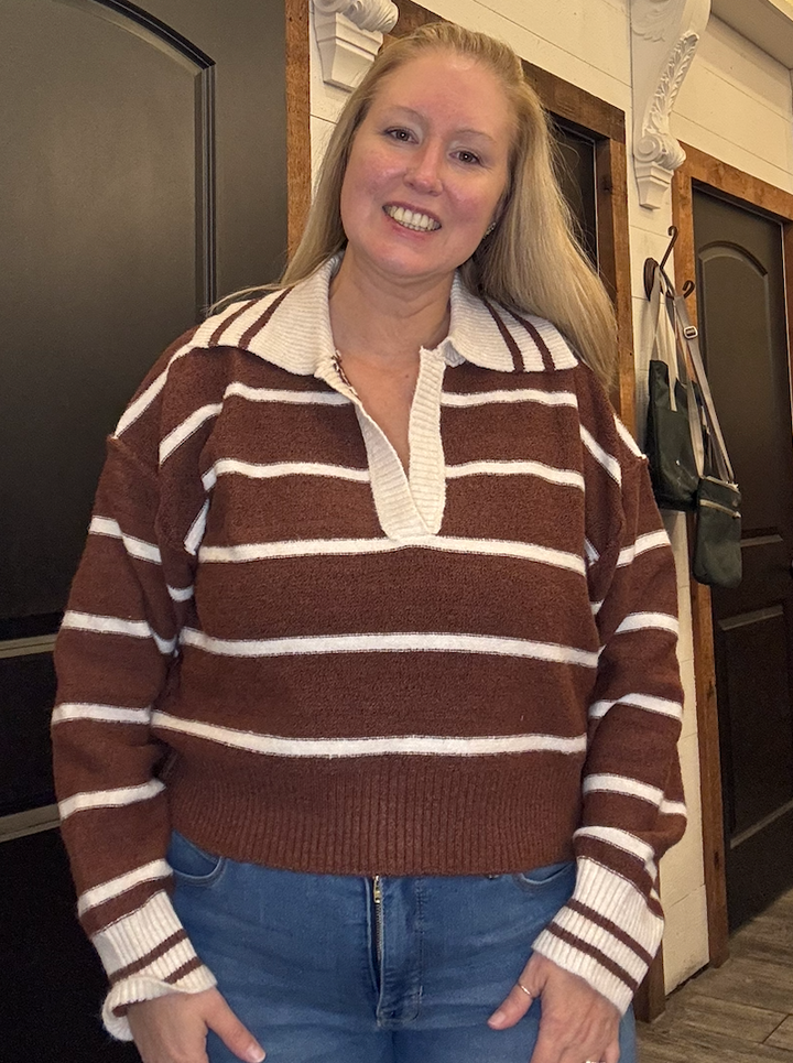 Striped Polo Sweater Top