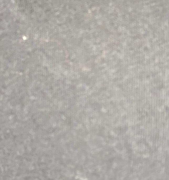 Cotton Raglan Sleeve Thumbhole Top