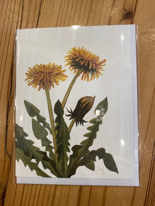 Dandelion Botanical Notecard