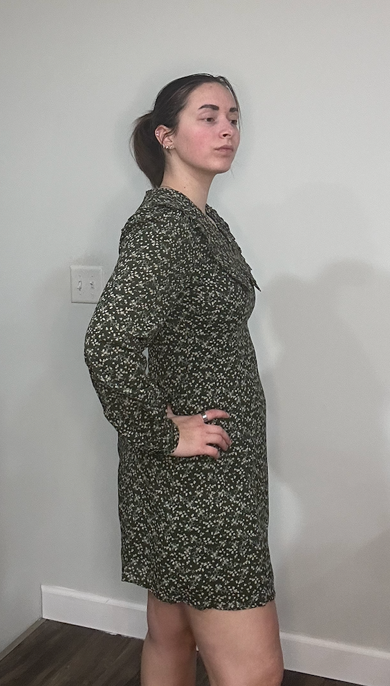 Olive Floral Long Sleeve V-Neck Mini Dress