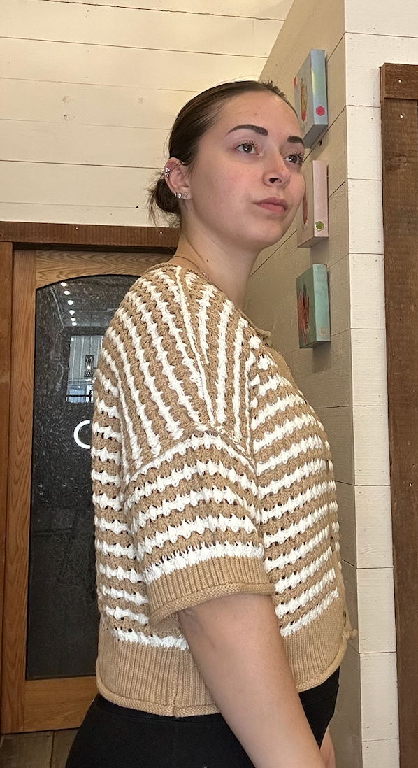 Khaki Stripe Short Sleeve Crochet Knit Cardigan